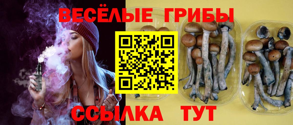 Галлюциногенные грибы MAGIC MUSHROOMS  Вход с VPN  Вязники 